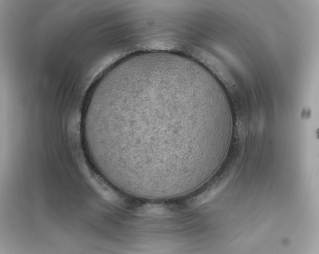 X0000095120534200712071242
