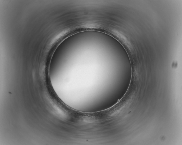 X0000095120535200712071242