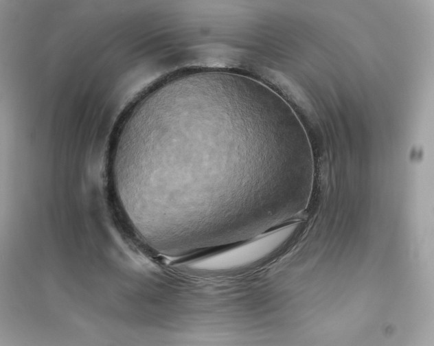 X0000095120536200712071242
