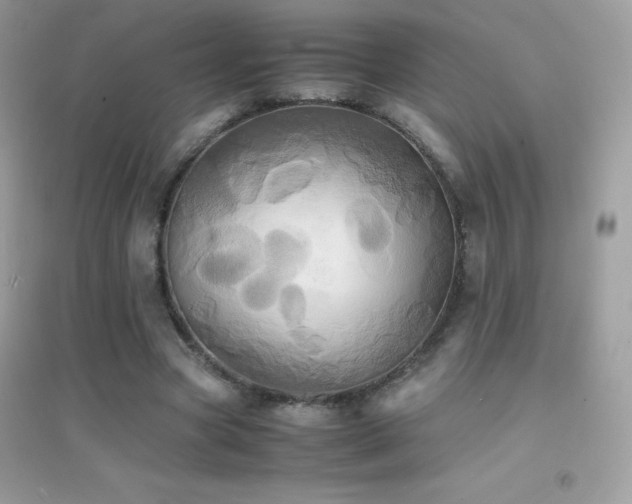 X0000095120537200712071242