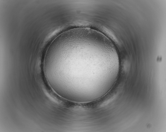 X0000095120538200712071242