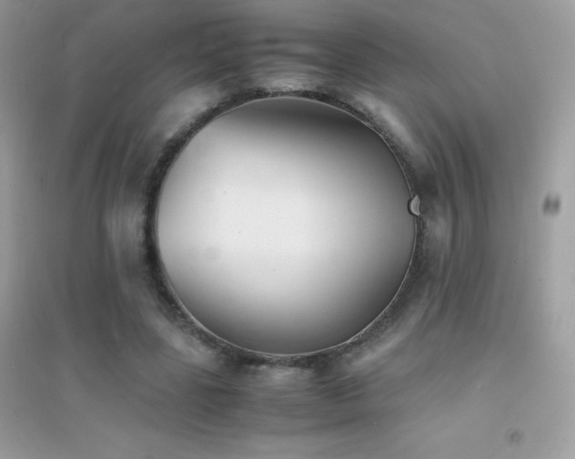 X0000095120539200712071242