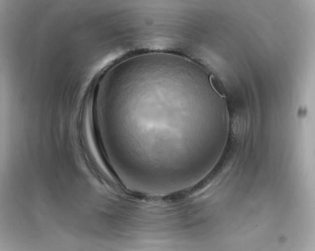 X0000095120540200712071242