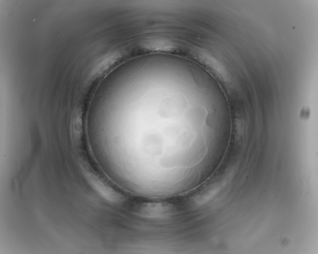 X0000095120541200712071242