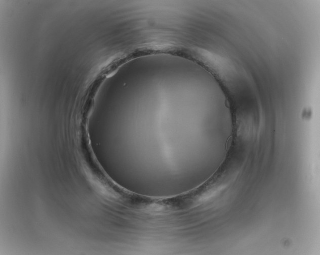 X0000095120542200712071242
