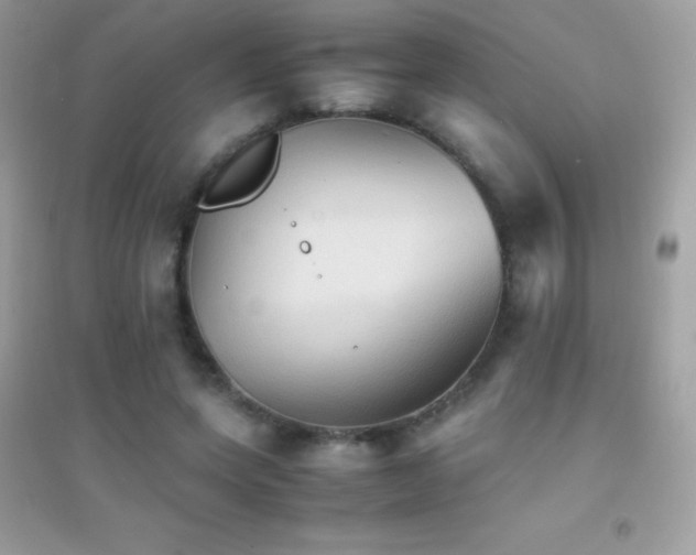 X0000095120543200712071242