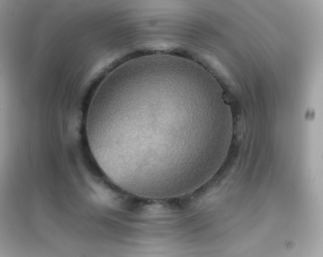 X0000095120544200712071242