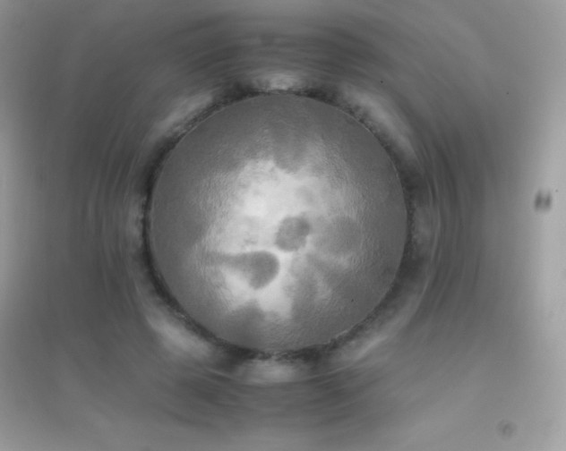 X0000095120545200712071242