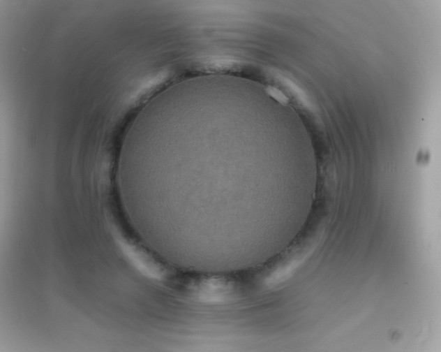 X0000095120546200712071242