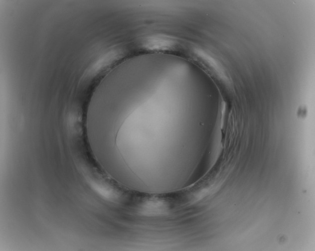 X0000095120547200712071242