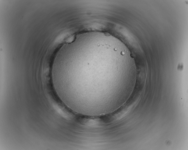 X0000095120548200712071242