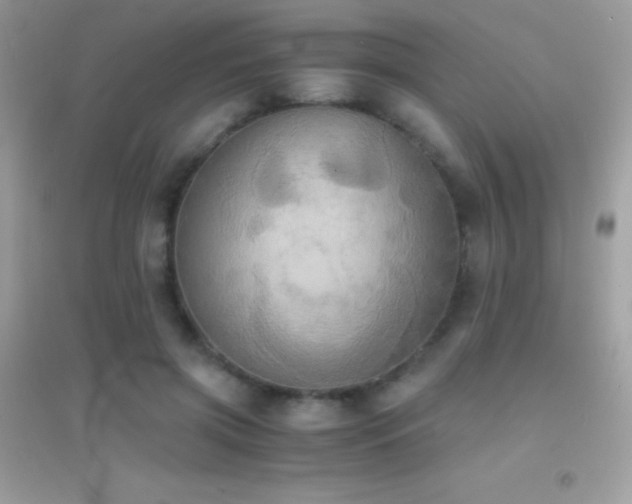 X0000095120549200712071242