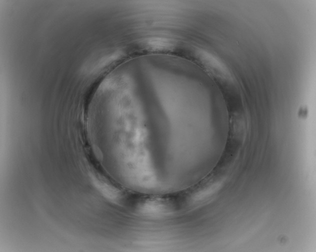 X0000095120550200712071242