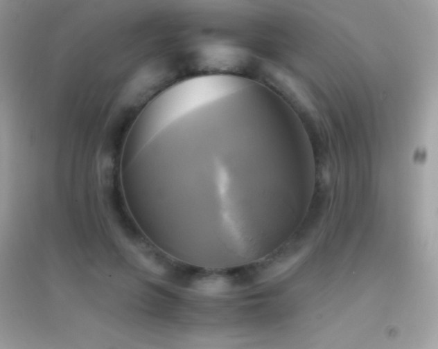 X0000095120551200712071242