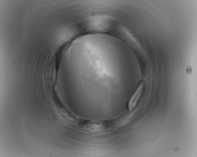 X0000095120552200712071242