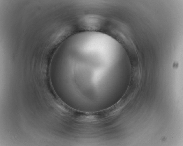 X0000095120553200712071242