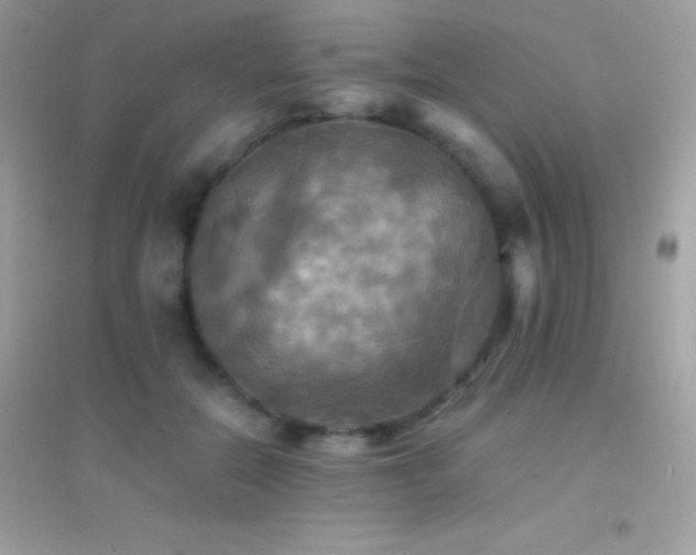 X0000095120554200712071242