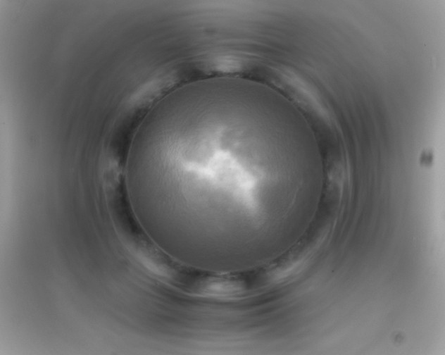 X0000095120555200712071242