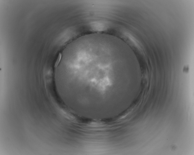 X0000095120556200712071242