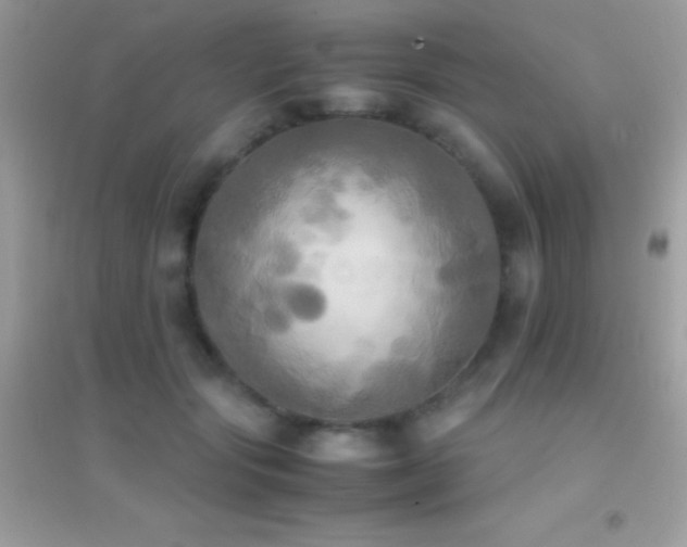 X0000095120557200712071242