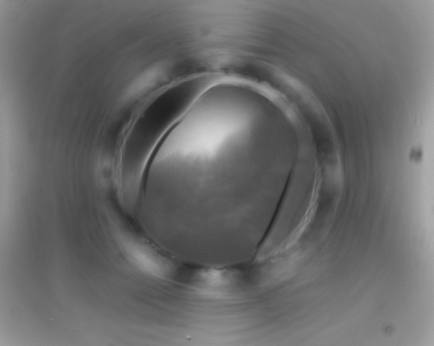 X0000095120558200712071242