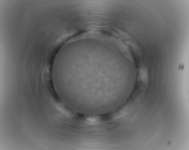 X0000095120560200712071242