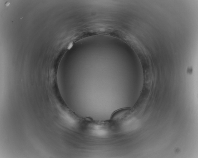 X0000095120563200712071242