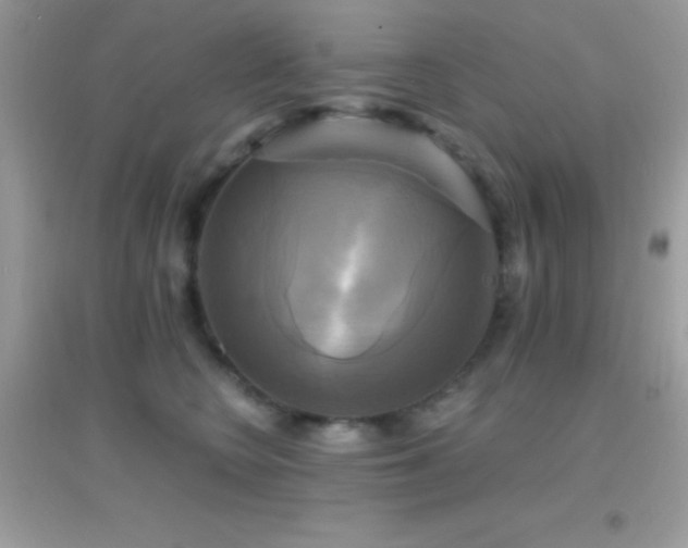 X0000095120566200712071242