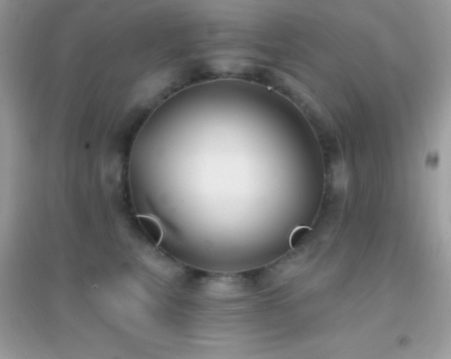 X0000095120567200712071242