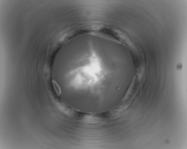 X0000095120568200712071242