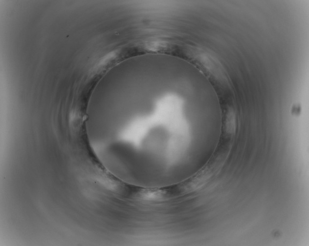 X0000095120569200712071242