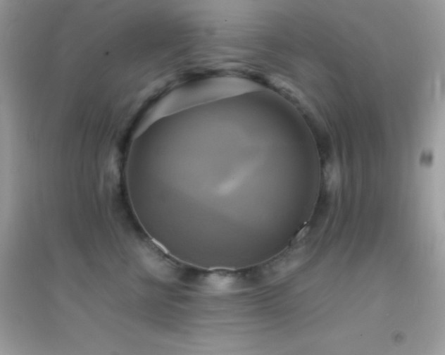 X0000095120570200712071242