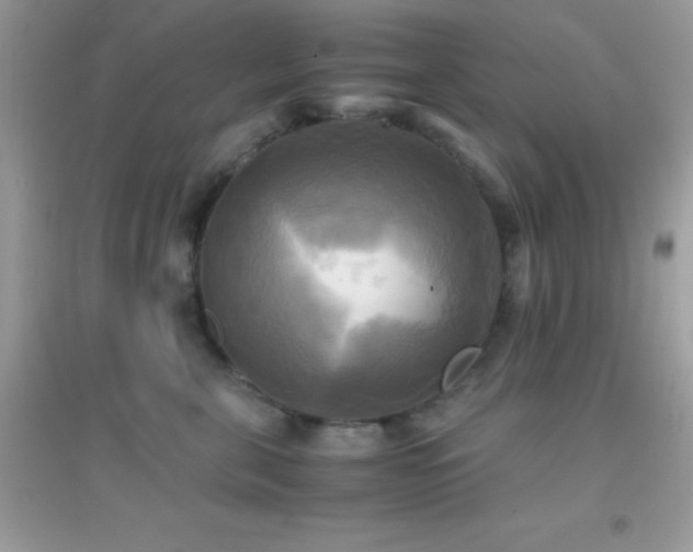 X0000095120571200712071242