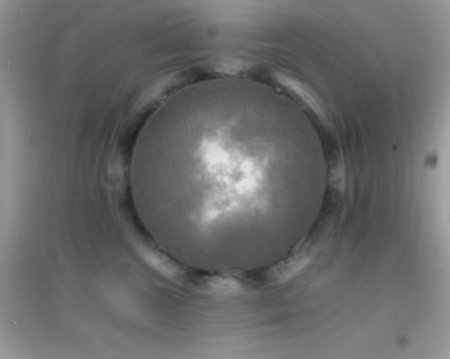 X0000095120572200712071243