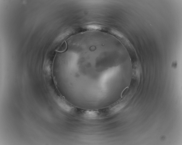 X0000095120573200712071243