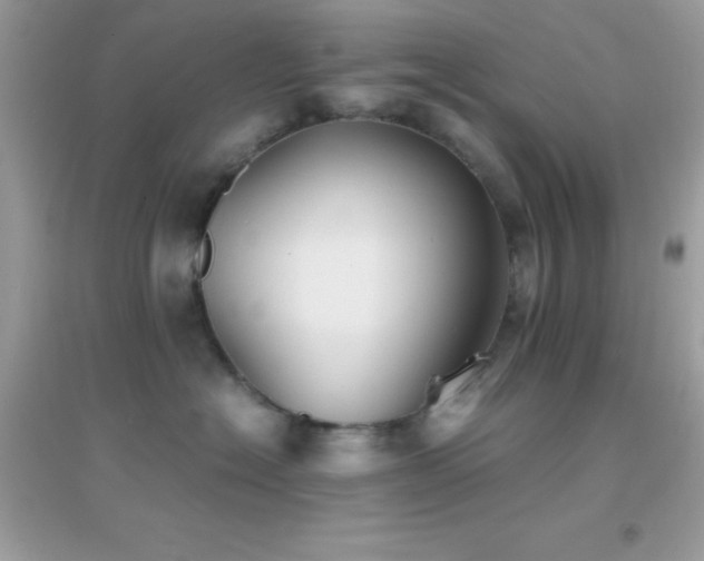 X0000095120574200712071243