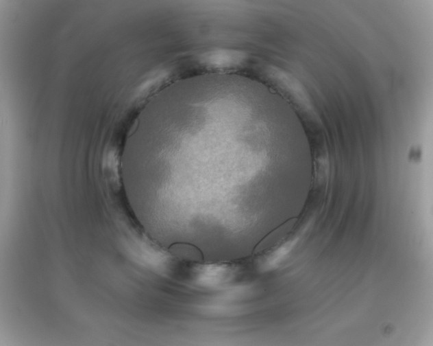 X0000095120575200712071243