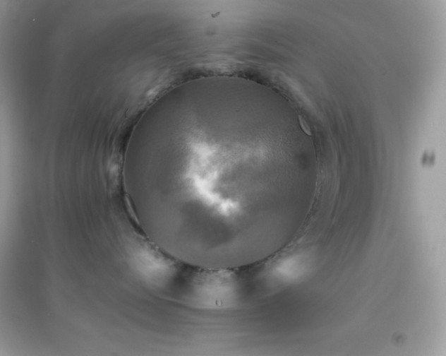 X0000095120576200712071243