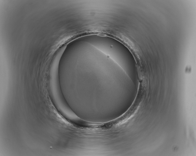 X0000095120577200712071242