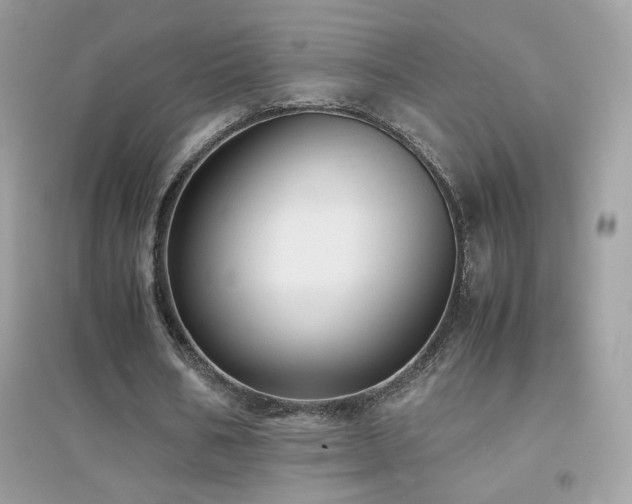 X0000095120578200712071242