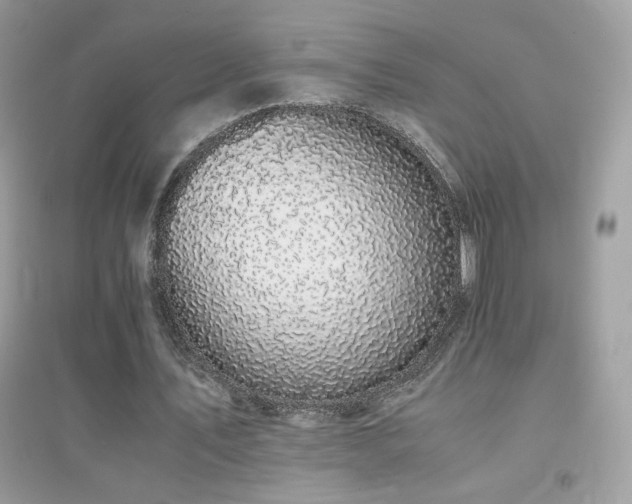 X0000095120579200712071242