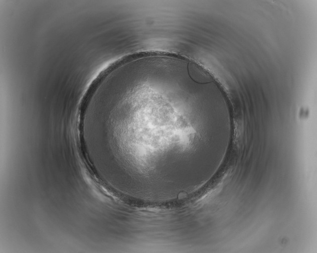 X0000095120580200712071242