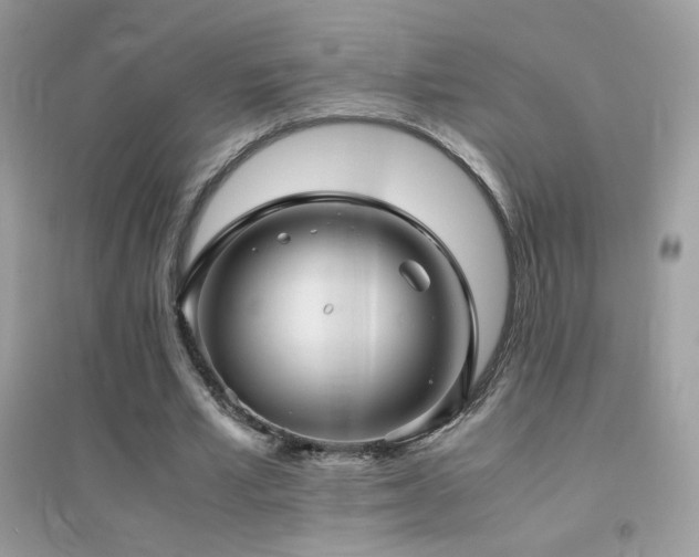 X0000095120581200712071242