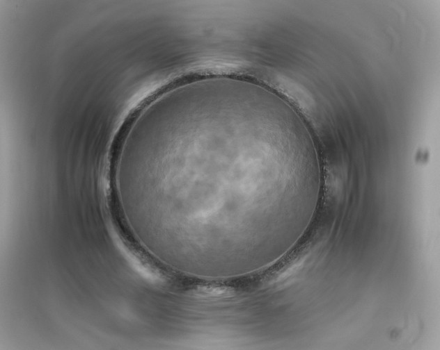 X0000095120582200712071242