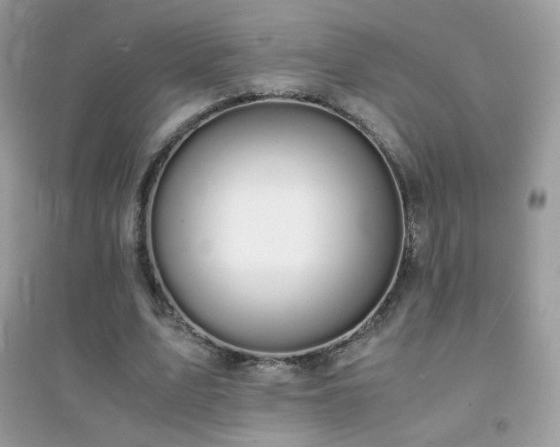 X0000095120583200712071242