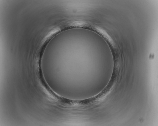 X0000095120585200712071242