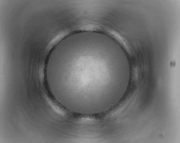 X0000095120586200712071242
