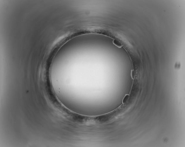 X0000095120587200712071242