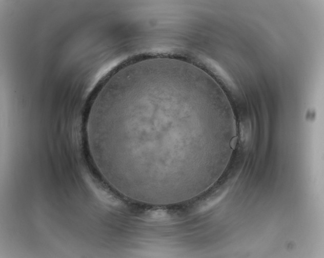 X0000095120588200712071242