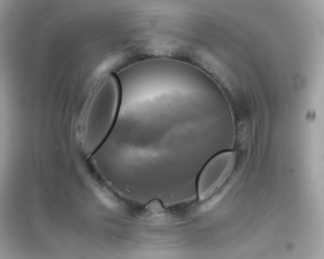 X0000095120589200712071242